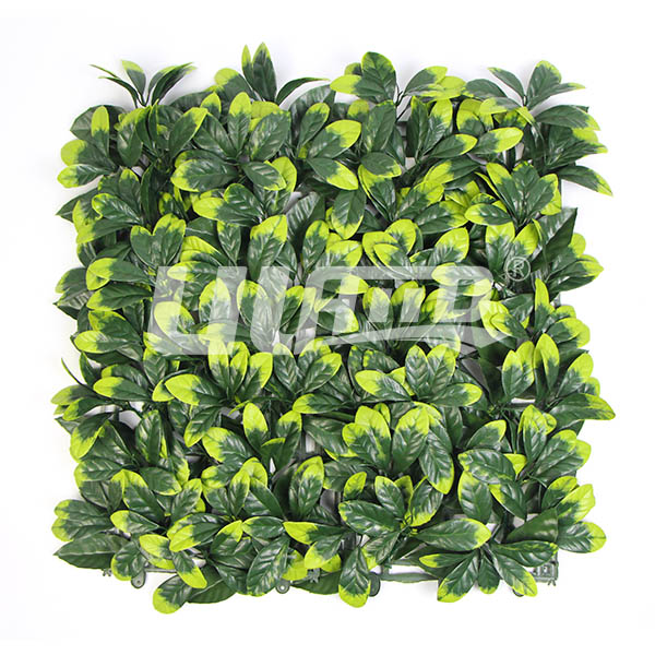 ��ȼB��(j��)����ֲ����~