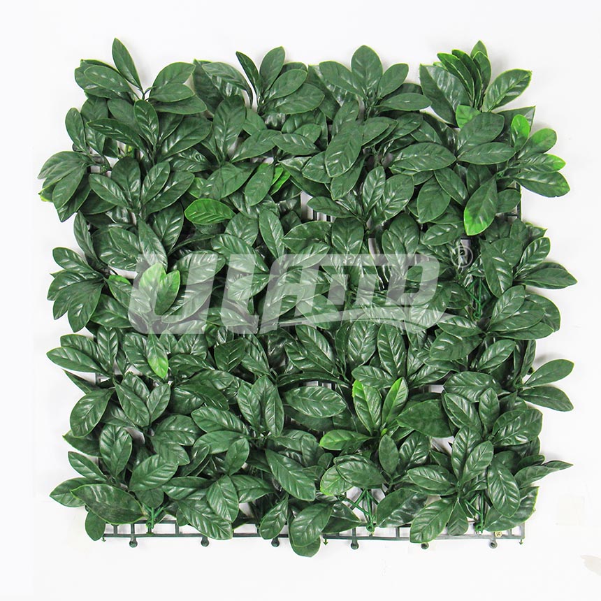 ����ֲ����~