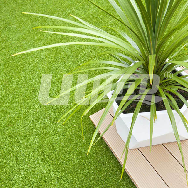 �������ϲ�ƺ