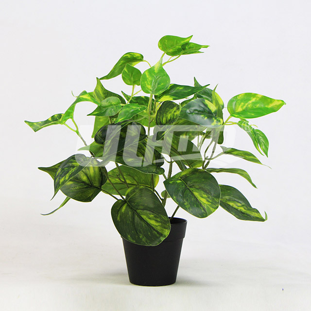 ����ֲ�������i�Ĳ�