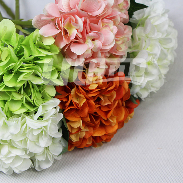 �����C��