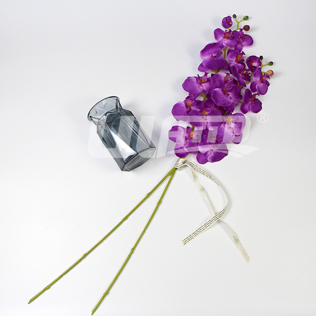 ���滨�����m