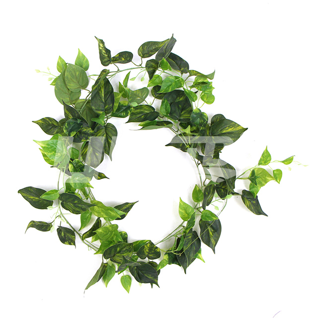 �����ٗlTT19