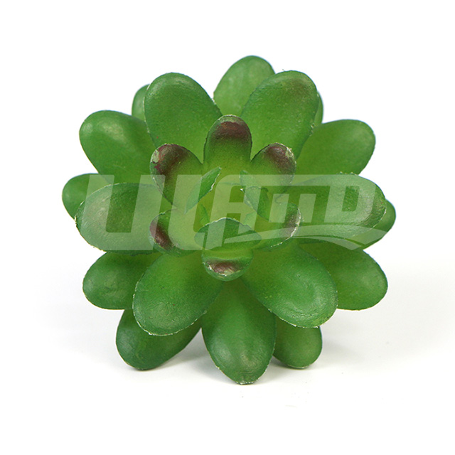 ����ֲ�����SW-0001