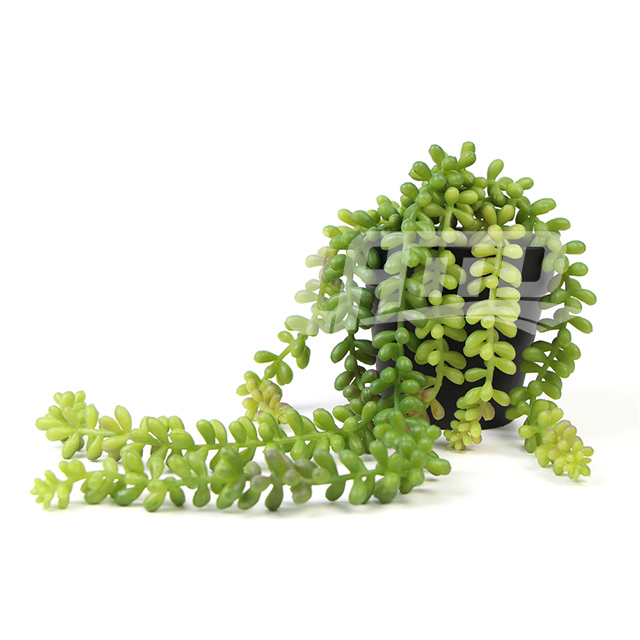 �����������ֲ������Y