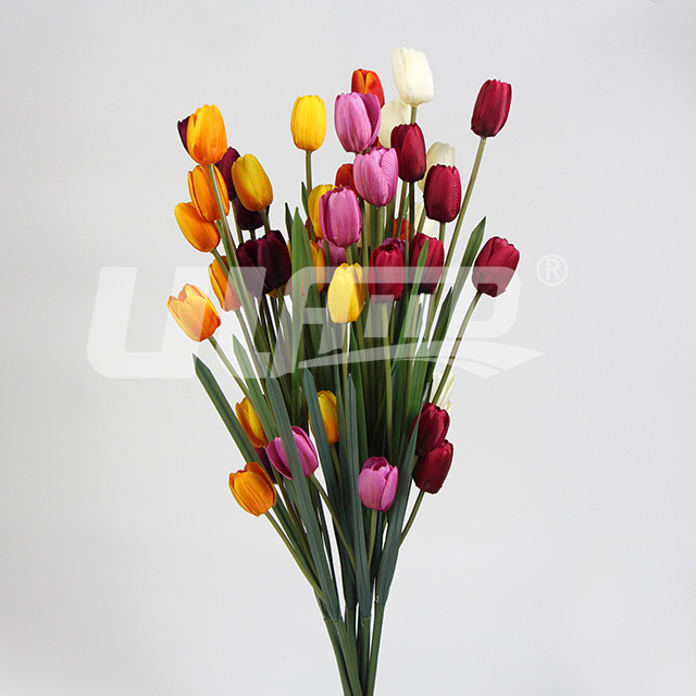 ����ֲ�ﻨ������