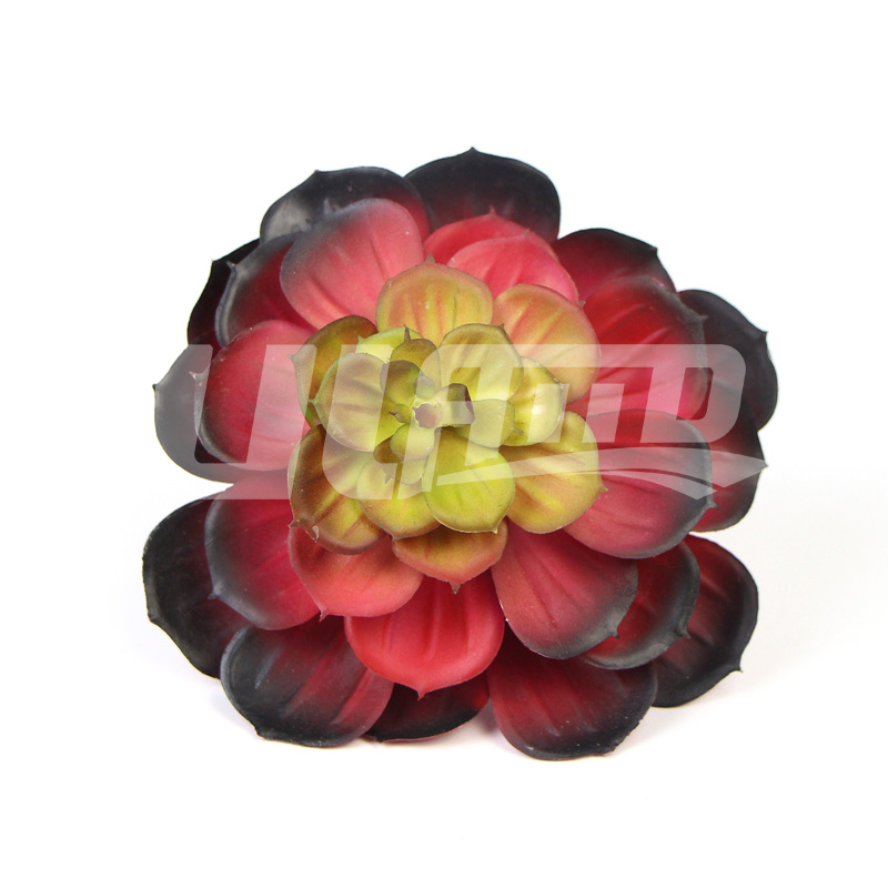 �������ֲ��ڷ���