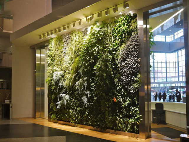 ����Gɫֲ�