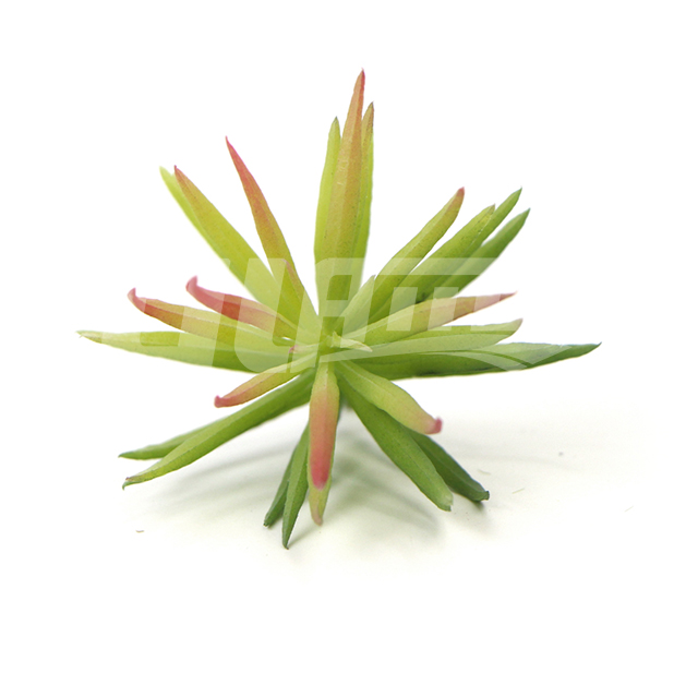 ����ֲ�����SW-0083