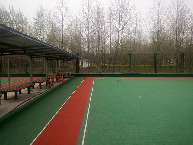 �T�����������ƺ